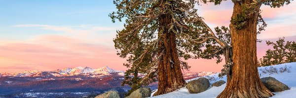 Drzewa, Niebo, Drzewa, Kamienie, Carson Pass, Kalifornia, Zachód słońca, Śnieg, Góry, Stany Zjednoczone, Sosny, Zima