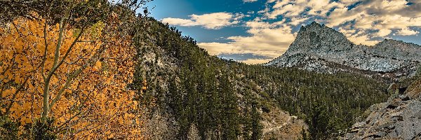 Stany Zjednoczone, Bishop Pass, Skały, Przełęcz, Góry Sierra Nevada, Kalifornia, Drzewa