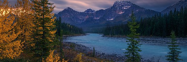 Drzewa, Rzeka, Kanada, Alberta, Athabasca River, Księżyc, Park Narodowy Jasper, Góry
