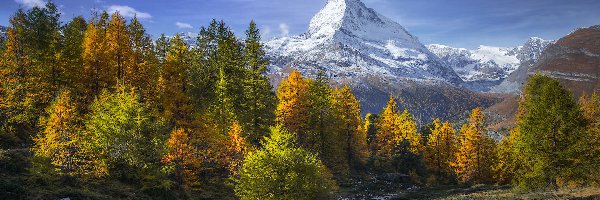 Szwajcaria, Szczyt Matterhorn, Drzewa, Alpy, Góry, Jesień, Las
