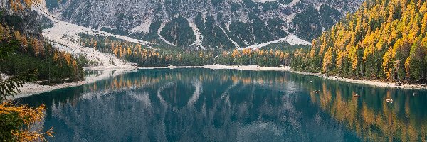 Jezioro, Dolomity, Włochy, Tyrol, Skały, Pragser Wildsee, Drzewa, Góry