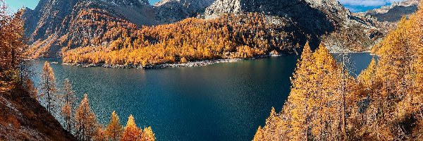 Drzewa, Góry, Włochy, Lago Devero, Alpy, Modrzewie, Jezioro, Jesień