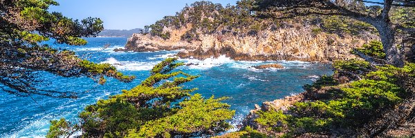 Cyprysy, Skały, Stany Zjednoczone, Kalifornia, Drzewa, Rezerwat przyrody, Point Lobos, Morze