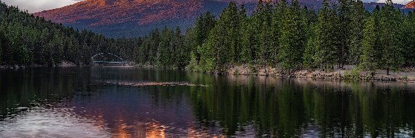 Jezioro, Mount Shasta, Góry, Kalifornia, Stany Zjednoczone, Drzewa, Lasy, Stratowulkan, Lake Siskiyou
