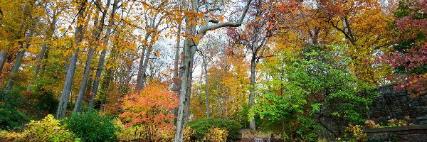 Jesień, Krzesła, Staw, Drzewa, Park, Liście, Mur