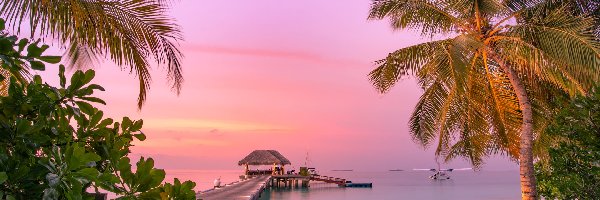 Altana, Plaża, Malediwy, Wakacje, Pomost, Plaża, Palmy, Morze