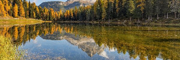 Lago di Antorno, Dolomity, Trawa, Drzewa, Jezioro, Góry, Las, Włochy
