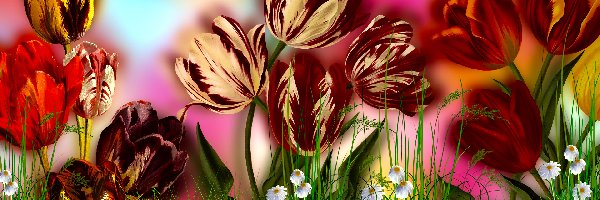 Tulipany, 2D, Trawa, Kwiaty