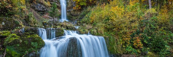 Mech, Giessbach Falls, Skały, Drzewa, Las, Szwajcaria, Jesień, Wodospad, Rośliny