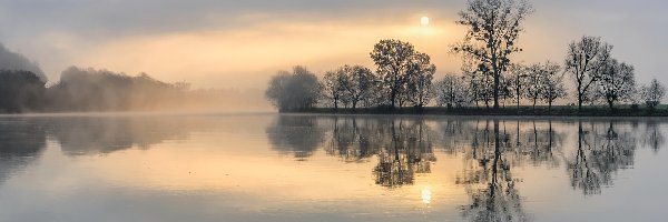 Mgła, Drzewa, Rzeka Mozela, Niemcy, Wschód słońca
