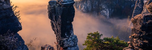 Formacje skalne, Skały, Niemcy, Park Narodowy Saskiej Szwajcarii, Drzewa, Mgła, Wschód słońca, Góry Połabskie