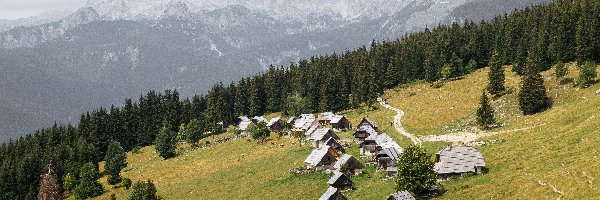 Góry, Zbocze, Słowenia, Gmina Bohinj, Drzewa, Alpy, Planina Zajamniki, Domy