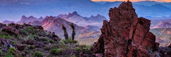 Skały, Oatman, Góry, Roślinność, Arizona, Stany Zjednoczone