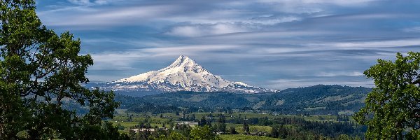 Mount Hood, Góra, Stratowulkan, Drzewa, Stan Oregon, Stany Zjednoczone