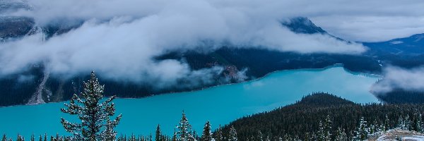 Park Narodowy Banff, Jezioro, Kanada, Śnieg, Opadająca, Mgła, Drzewa, Góry, Peyto Lake, Alberta