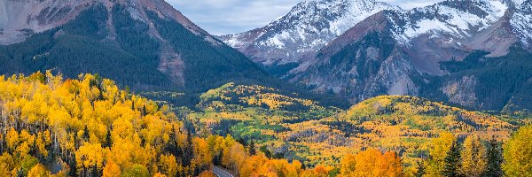 Droga, Telluride, Góry, Kolorado, Stany Zjednoczone, Jesień, Drzewa