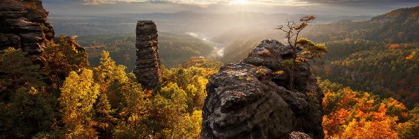Lasy, Góry Połabskie, Niemcy, Jesień, Drzewa, Skały, Słońce, Park Narodowy Saskiej Szwajcarii