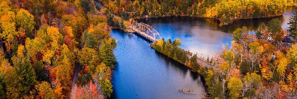 Stany Zjednoczone, Most, Lasy, Dead River, Rzeka, Michigan, Jesień