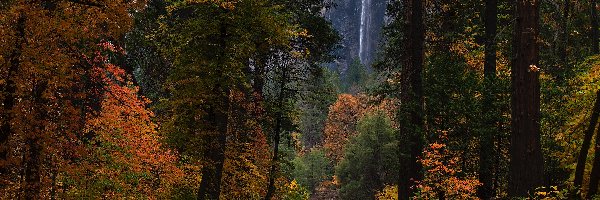 Droga, Drzewa, Park Narodowy Yosemite, Kalifornia, Stany Zjednoczone, Las, Bridalveil Fall, Jesień, Wodospad