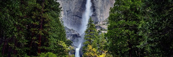 Wodospad, Drzewa, Stany Zjednoczone, Kalifornia, Skały, Upper Yosemite Falls, Park Narodowy Yosemite, Góry