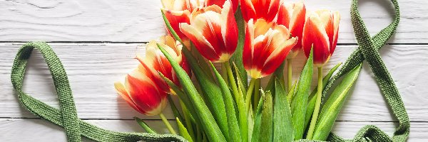 Kwiaty, Zielona, Tulipany, Deski, Siatka