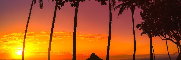 Plaża, Wyspa Mokolii, Zachód słońca, Palmy, Hawaje, Stany Zjednoczone