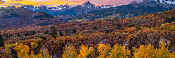 Lasy, Góry, San Juan Mountains, Kolorado, Stany Zjednoczone, Drzewa, Jesień