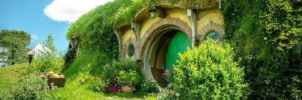 Dom, Atrakcja turystyczna, Nowa Zelandia, Miejscowość Matamata, Wzgórze, Rośliny, Hobbit, Plan filmowy Hobbiton
