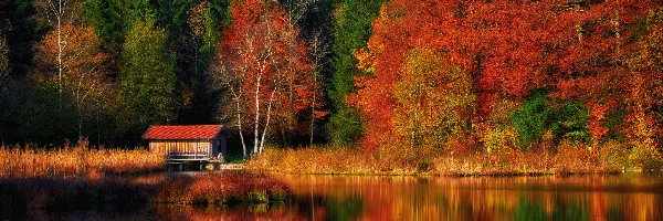 Las, Jezioro, Dom, Drewniany, Kolorowy, Drzewa, Odbicie, Jesień