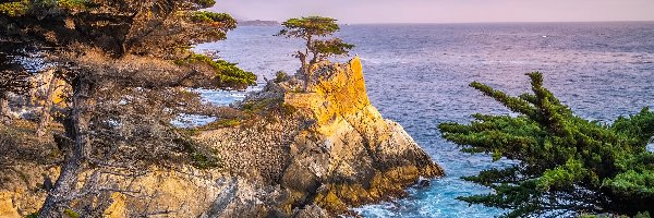 Carmel Bay, Drzewa, Stany Zjednoczone, Zatoka, Atrakcja Lone Cypress, Pebble Beach, Morze, Skały, Cyprys wielkoszyszkowy, Kalifornia