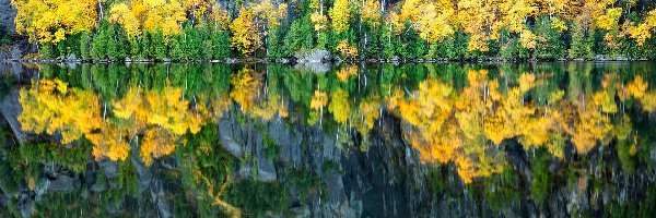 Jezioro, Drzewa, Skały, Odbicie, Jesień