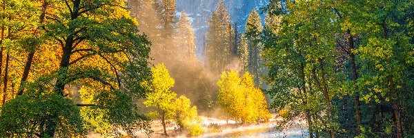 Las, Park Narodowy Yosemite, Jesień, Szczyt Half Dome, Stany Zjednoczone, Rzeka, Drzewa, Kalifornia, Merced River, Góry, Mgła