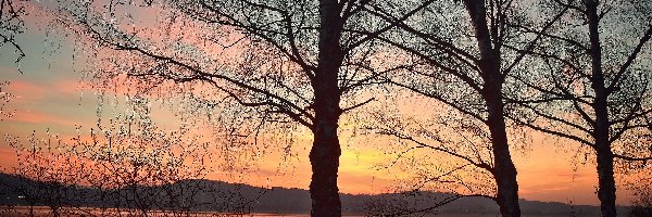 Jesień, Drzewa, Jezioro Sempachersee, Szwajcaria, Zachód słońca