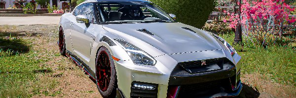 Forza Horizon 5, Srebrny, Nissan GT-R NISMO, Gra