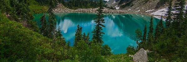 Drzewa, Lewis Lake, Stany Zjednoczone, Stan Waszyngton, Góry, Rośliny, Park Narodowy Północnych Gór Kaskadowych, Jezioro