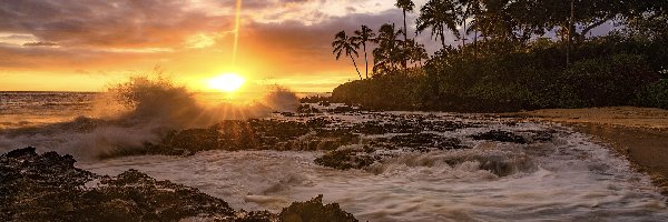 Zachód słońca, Fala, Wyspa Maui, Hawaje, Stany Zjednoczone, Skały, Palmy, Morze, Plaża