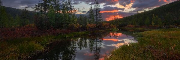Jesień, Nevedomy Creek, Kołyma, Obwód magadański, Rosja, Krzewy, Drzewa, Rzeka, Chmury
