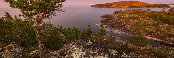 Skały, Jezioro, Ładoga, Drzewo, Karelia, Rosja