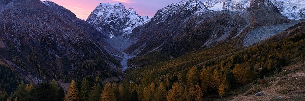 Dolina, Drzewa, Szczyt, Alpy Pennińskie, Góry, Szwajcaria, Kanton Valais, Mont Collon, Val dHerens