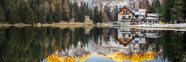 Dom, Góry, Włochy, Prowincja Trydent, Dolomity Brenty, Las, Drzewa, Jezioro Nambino