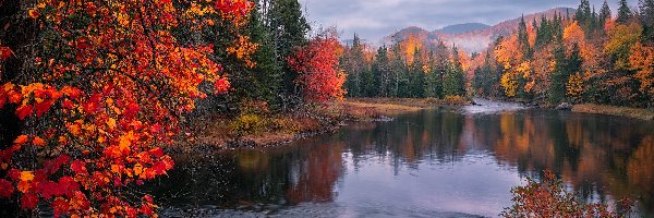 Rzeka, Drzewa, Las, Góry, Kolorowe, Jesień