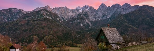 Słowenia, Las, Drzewa, Alpy Julijskie, Góry, Kranjska Gora, Domy