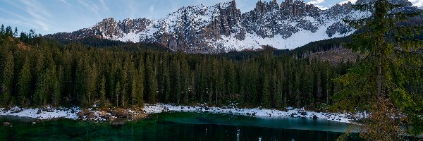 Drzewa, Jezioro, Lago di Carezza, Południowy Tyrol, Włochy, Las, Góry Latemar