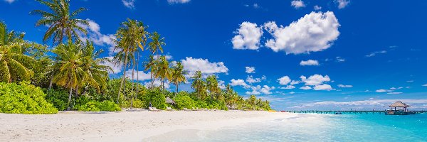 Malediwy, Plaża, Morze, Domek, Palmy