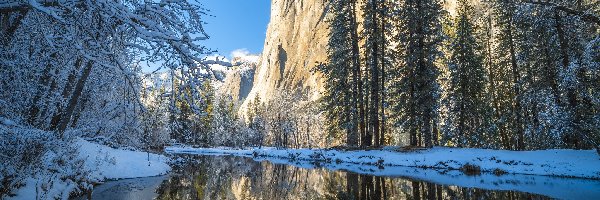 Drzewa, Zima, Śnieg, Formacja skalna, Stany Zjednoczone, El Capitan, Merced River, Kalifornia, Rzeka, Góry, Park Narodowy Yosemite