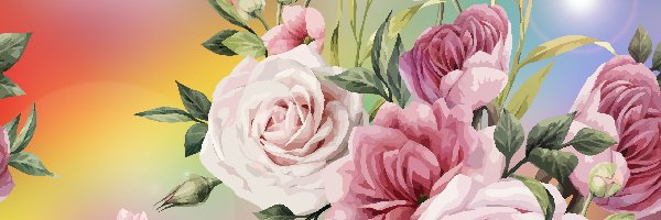 Różowe, Róże, Kwiaty, Grafika, 2D
