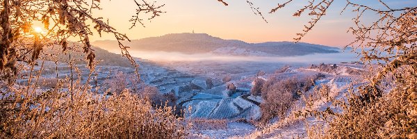 Zima, Wzgórza, Winnice, Kaiserstuhl, Niemcy, Promienie słońca, Drzewa