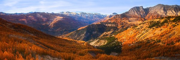 Góry, Modrzewie, Żółte, Jesień