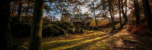 Zamek, Wieża, Ścieżka, Drzewa, Jesień, Walia, Park Narodowy Snowdonia, Dom, Dolbadarn Castle