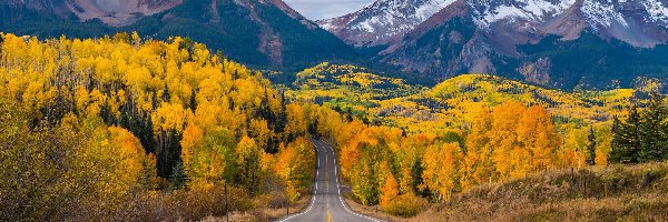Góry, Kolorado, Droga, Jesień, Telluride, San Juan Mountains, Drzewa, Stany Zjednoczone